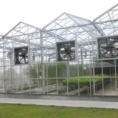 Cast Acrylic Sheet - Greenhouse (6mm) - Cast Acrylic Sheet Apply on Greenhouse