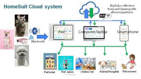 Homesuit Introduction Presentation 03.