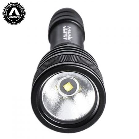 Torcia da Immersione