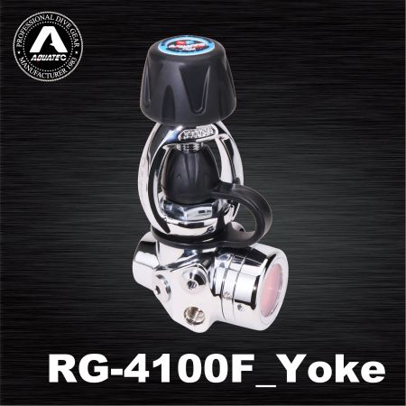 RG-4100F ICE Tauchregler Ausgeglichenes Membran DIN-Typ