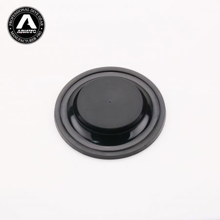 RG-2100S_DIA レギュレーター ダイアフラム。