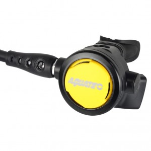 RG-2100S(YL)二級頭備用順流式調節器