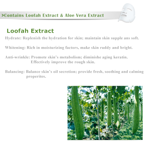 Loofah Extract Facial Mask - Loofah Extract Facial Mask | ISO & GMP ...