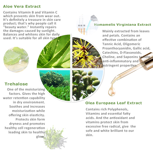 Loofah Extract Facial Mask - Loofah Extract Facial Mask | ISO & GMP ...