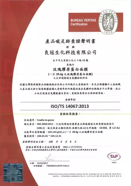 SGS (Chinesische Version)