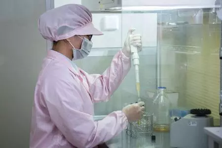Procedimiento del proceso de producción de mascarillas de hoja de bio-celulosa - cultivo de bacterias