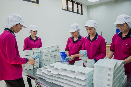 Process procedure of bio-cellulose sheet mask production - 裝盒
