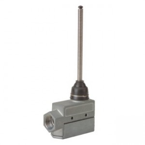 Interruttore e accessorio auto