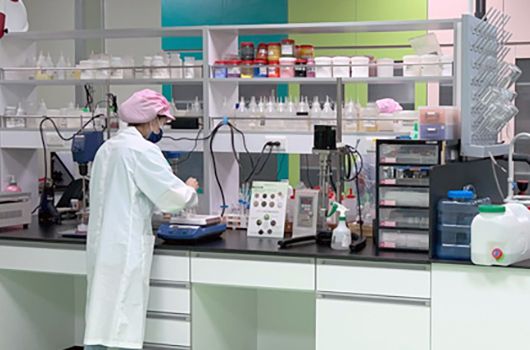 Cosmetics Formulation Development Lab