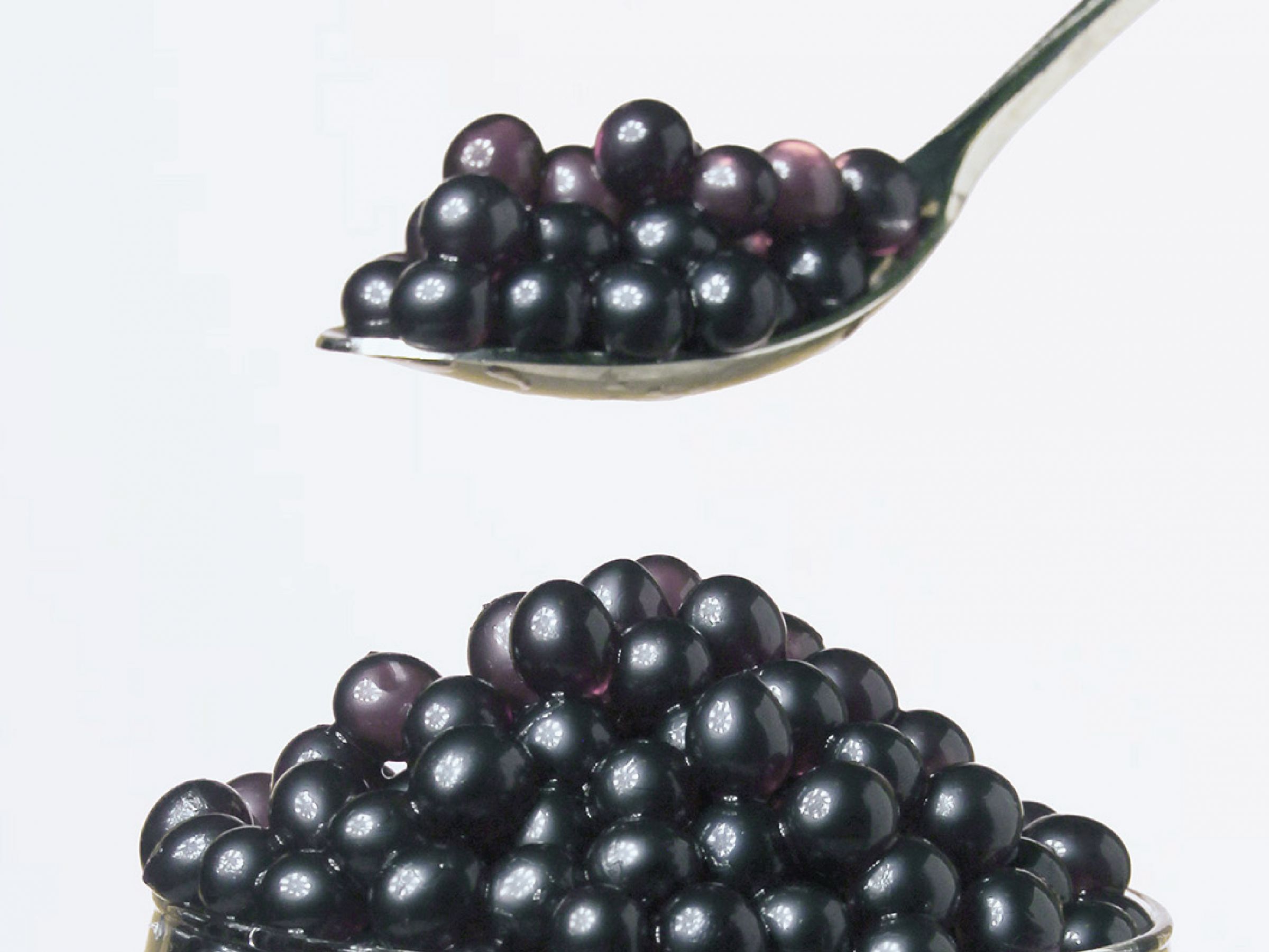 Fábrica de boba de arándano