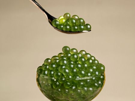 Kiwi Popping Boba 0% / 14% - Wholesale kiwi popping boba for beverage businesses