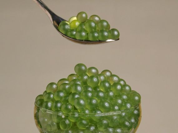 Kiwi popping boba factory