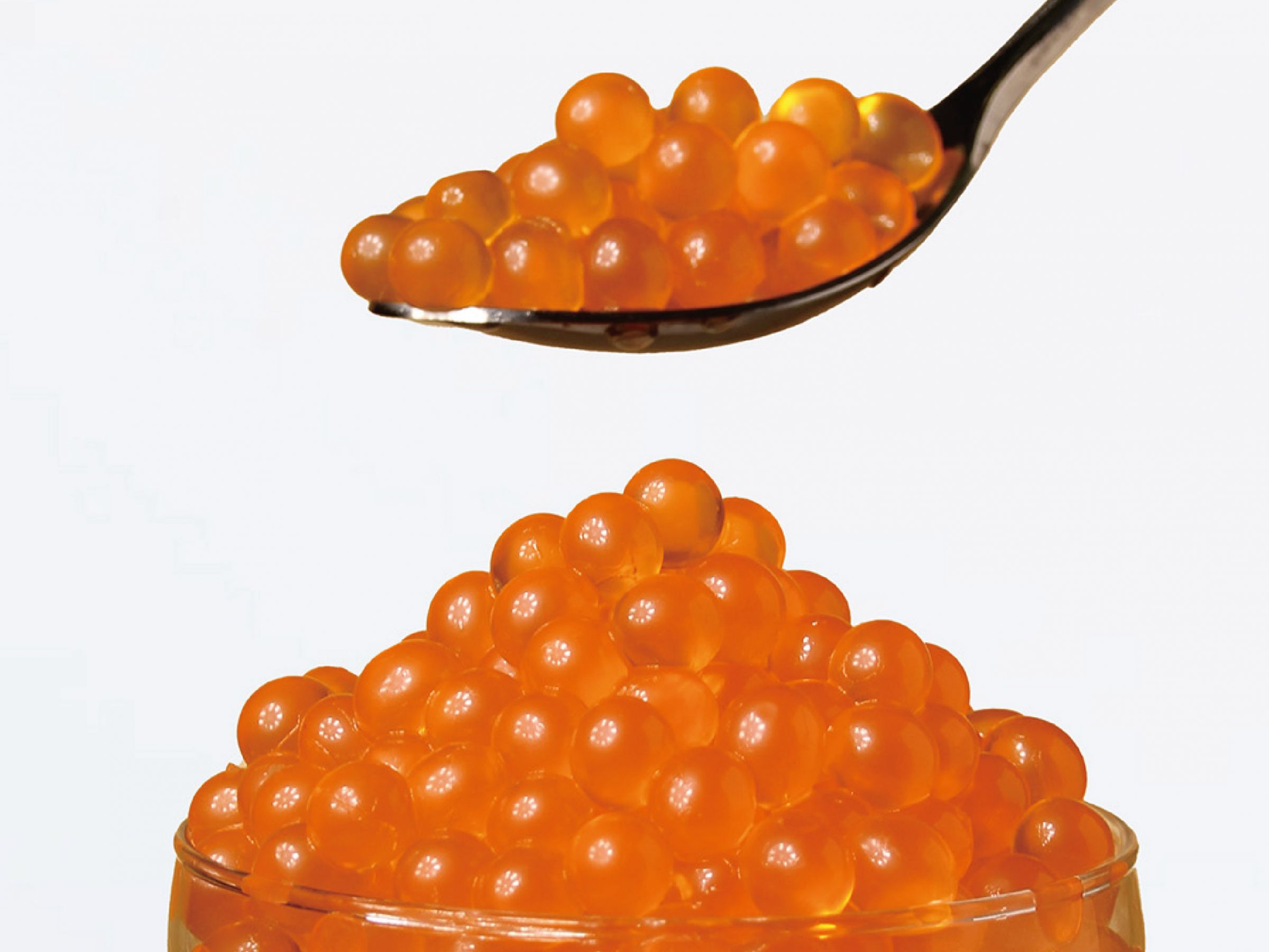 Fábrica de boba de mango