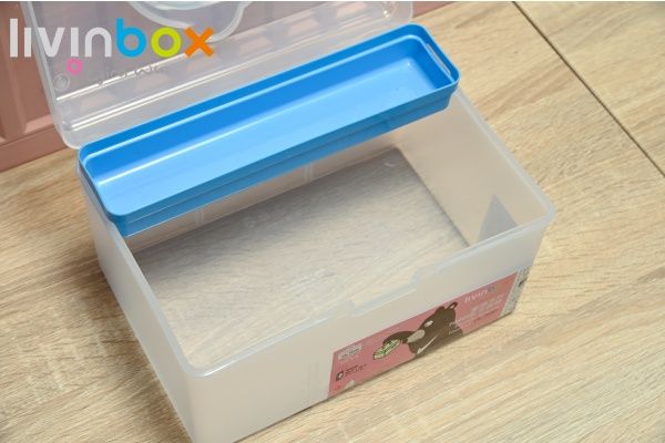 Portable Craft Organizer Box with Inner Tray, 5.8 Liter, Plastic File  Cabinet: Streamlined Office Storage