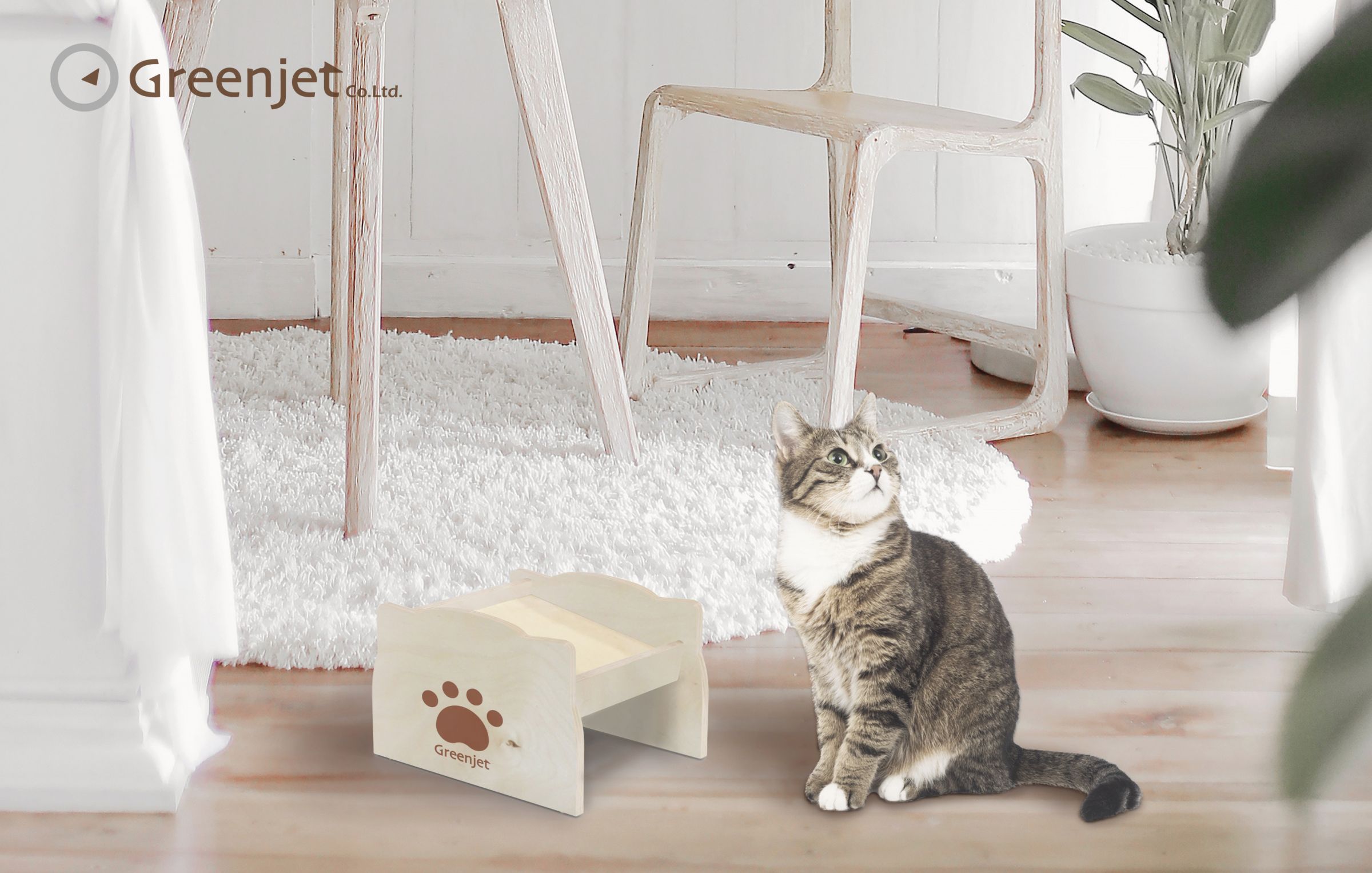 Erhöhter Holz-Futternapf-Ständer für Katzen und Hunde