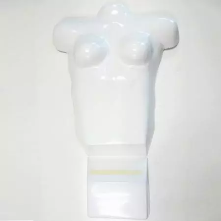 Forma de mostrador de torso femenino