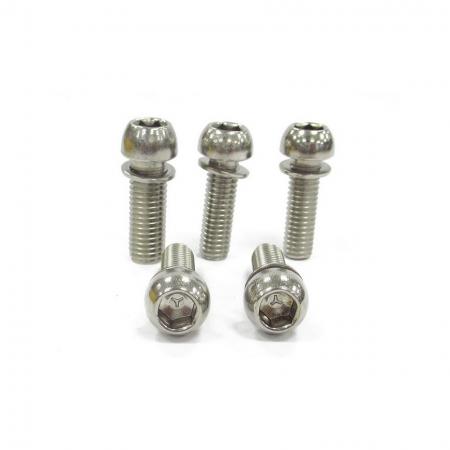 스테인리스 스틸 스템 볼트