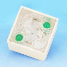 Tastschalter - zwei LEDs - Tastenschalter (LT1-15-A2/LT1-19-A2)