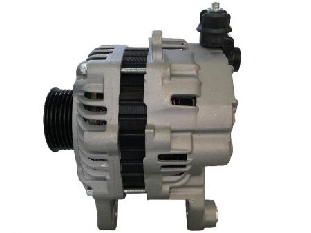 FORD (2010-2011)의 교류 발전기