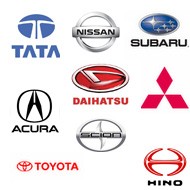 Starter for Asian Models - Asian Models Starter