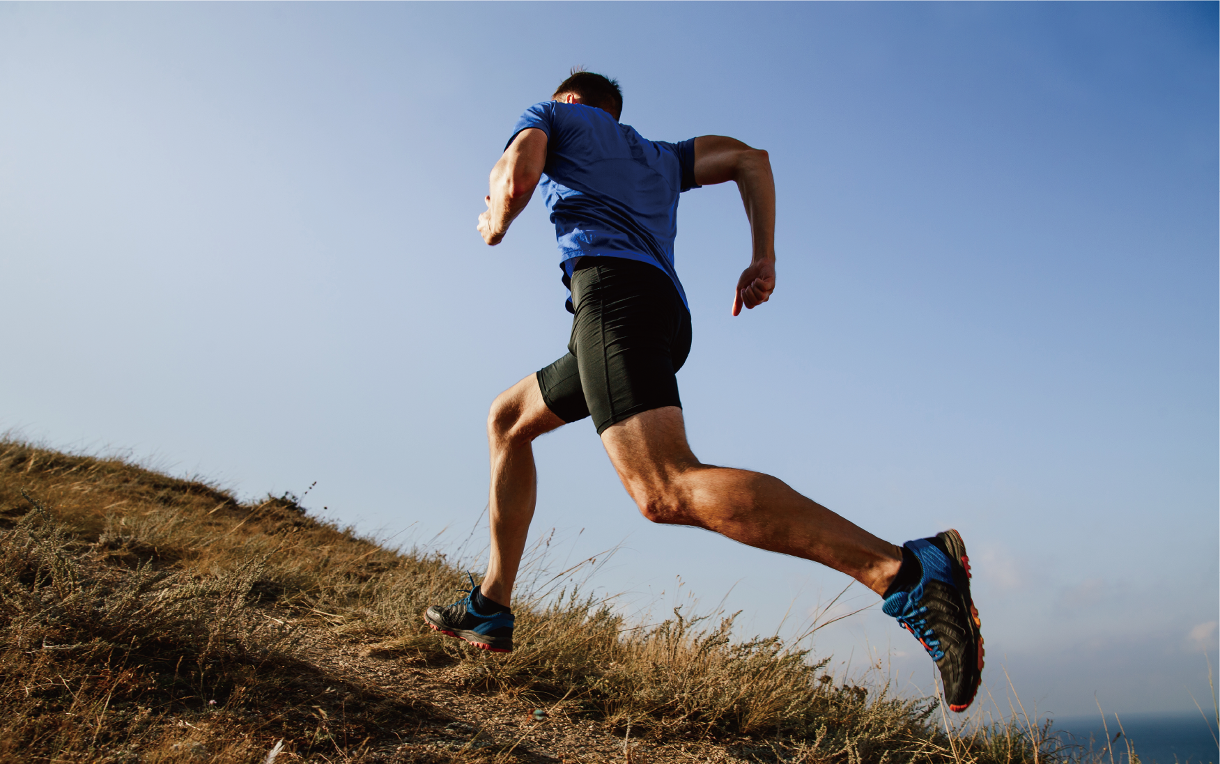 قماش ARMORTEX® القابل للتمدد