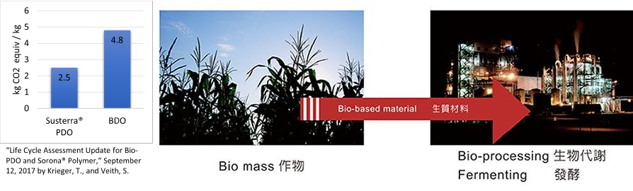 The manufacturing process of bio raw material