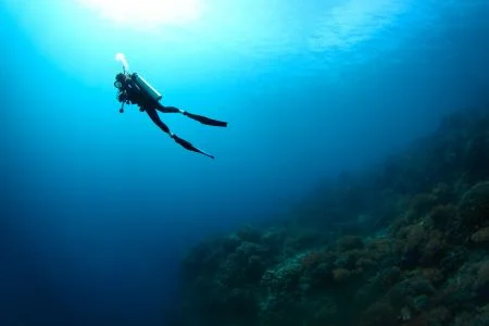 Attività Acquatiche - Tessuti per Sport Acquatici | Elasticità a 4 Vie, UPF 50+, Asciugatura Rapida & Isolamento Termico.