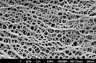 MEMBRANE MICROPORÉE - Membrane microporeuse