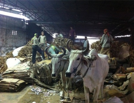 廢紙回收 打包前