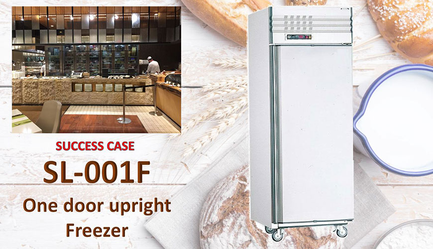 One Door Upright Freezer