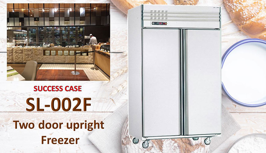 Two Door Upright Freezer
