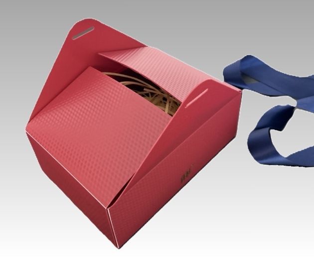 Raisable Raisable PP Gift Box | Premium Packaging by YES