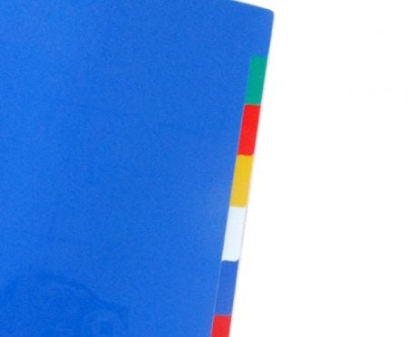 10 PP Colored PP Index Divider.