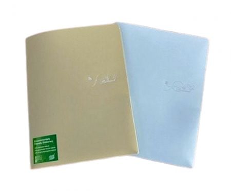 2 Pockets File Folder with Stamping Logo.