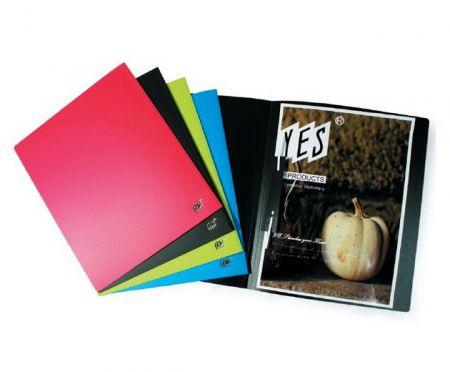 PP Flat File met Plastic Prong & Effen Kleur Cover.