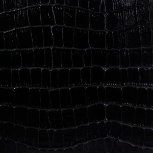 دفتر ملاحظات سلسلة Crocodile