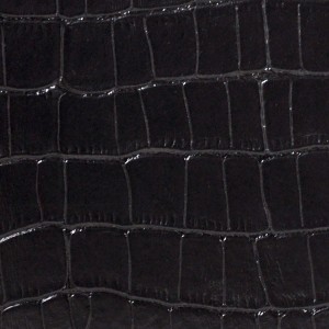 دفتر ملاحظات سلسلة CrocodileB