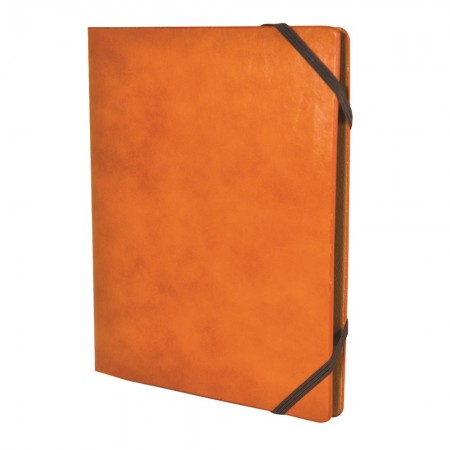 KHÔNG.204 lịch trình