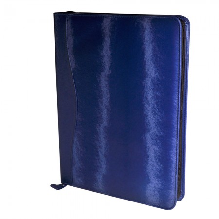 Z020 모델 인수 가방