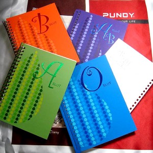 Diario de cuero reciclado de carpeta DIY