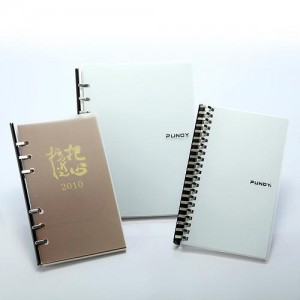 Diario de cuaderno de anillas PP 6