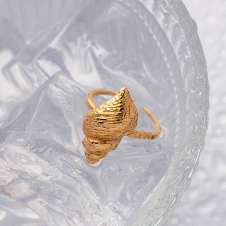 Unieke gouden hoornvormige ring op een kristallen display.