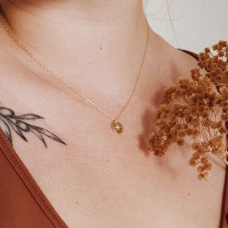 Una toma clara y detallada del collar de oro con el colgante de la Estrella del Norte.