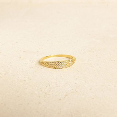 Detaillierte Ansicht des zarten goldenen Verlobungsrings, der die vollständige Pavé-Cubic-Zirkonia-Fassung zeigt.