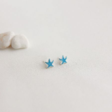 銀メッキの小さな青いエナメルのヒトデスタッドピアス（5ペア） - クリーンな白い背景にある銀メッキの小さな青いエナメルのヒトデスタッドピアスのペア、詳細なデザインと鮮やかな色を披露。