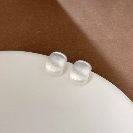 詳細なブラシ仕上げのシルバースタッドピアスのクローズアップ。