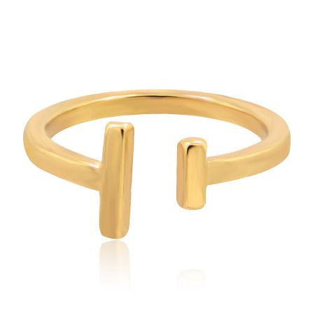 A detailed view of the Double Bar Minimalist Ring, highlighting its parallel bar structure and lustrous gold plating.