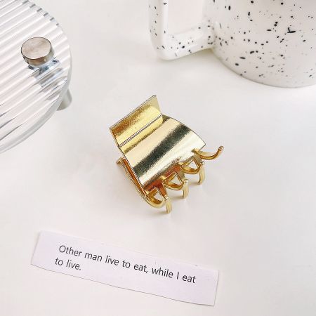 Detailed product shot of a minimalist gold metal hair clamp clip.