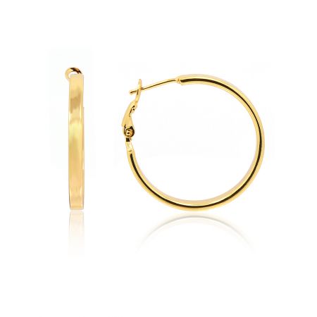 Shinning Hoop Dangle Drop Earrings - Shinning Hoop Dangle Drop Earrings, med en enkel och elegant guldpläterad design med en glänsande yta.