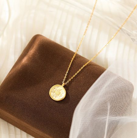 925 Sterling Silver Compass Necklace - A beautiful 925 Sterling Silver Compass Necklace with a gold finish, displayed elegantly in a brown velvet jewelry box.